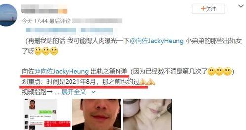 向佐出轨爆料者视频全集,爆料者视频全集深度解析